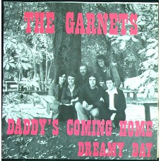 GARNETS Daddy's Coming Home / Dreamy Day (Pink Elephant – PE 22.800Y 60) Belgium 1973 PS 45 (Glam)